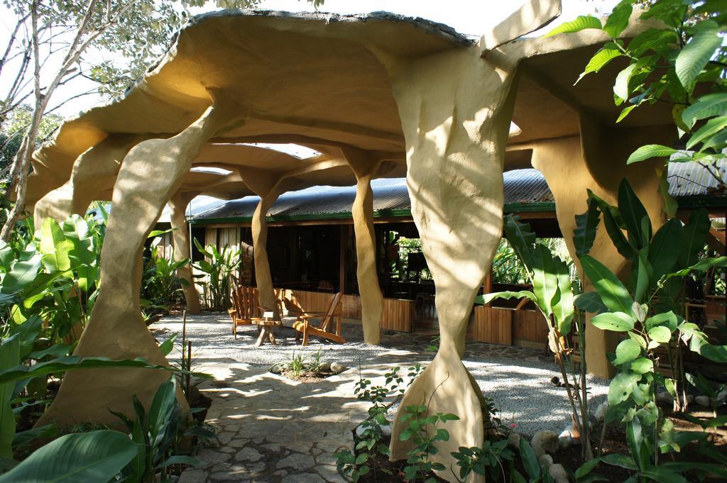 Finca Kobo Palo Seco Rom bilde