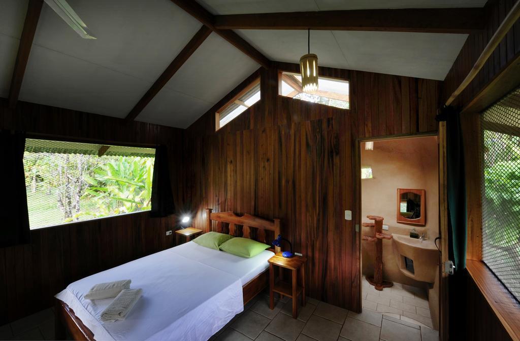 Finca Kobo Palo Seco Rom bilde