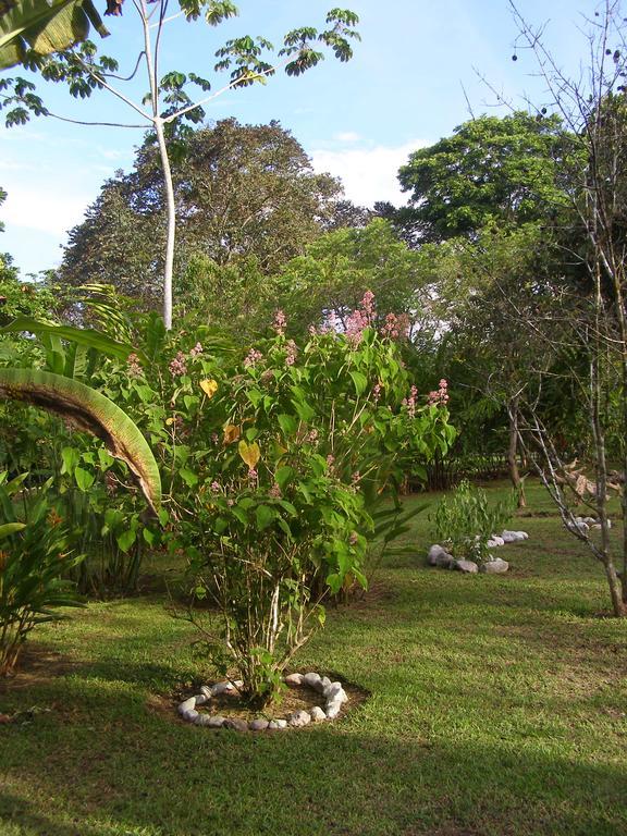 Finca Kobo Palo Seco Eksteriør bilde