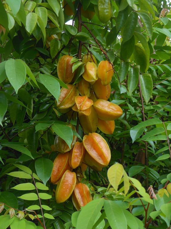 Finca Kobo Palo Seco Eksteriør bilde
